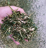 履帶式園林粉碎機效果1