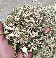 履帶式園林粉碎機效果4